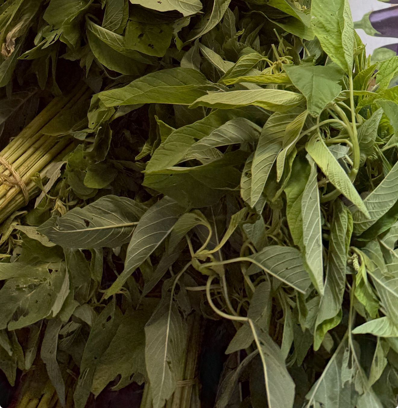 botte - Feuilles d'Épinard Africain (Bitekuteku, Ndunda, Folo, Folon, Fontete, Callalou, Bro Mbru, Amarante, Bari)