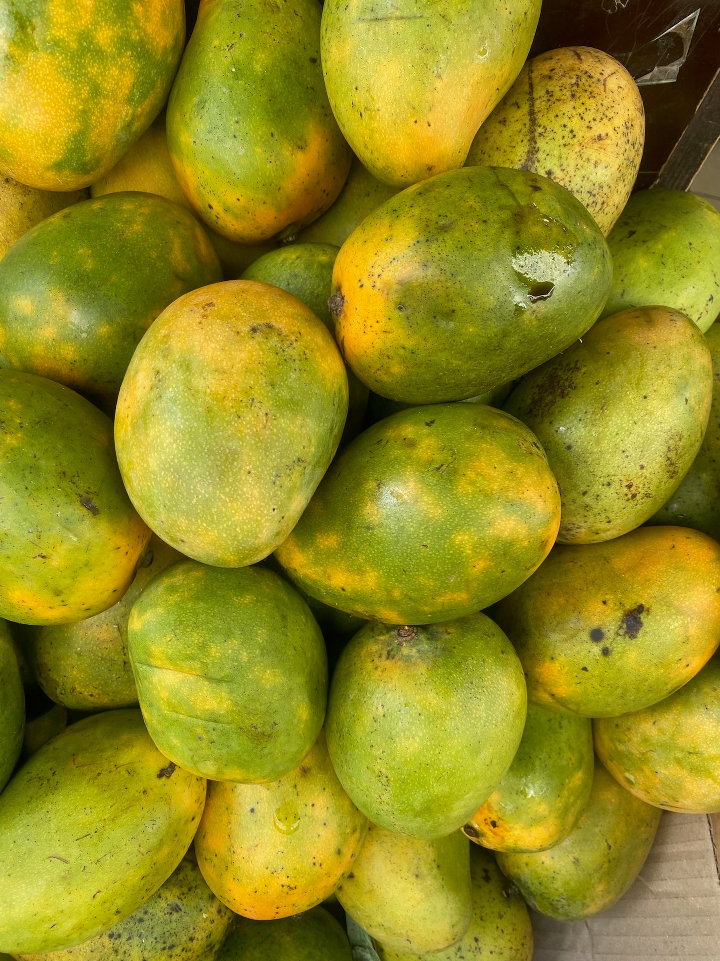 Mangue (pièce)