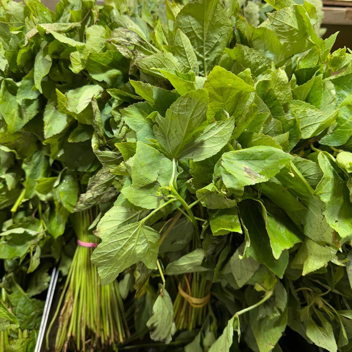 botte - Feuille de Bissap, oseille, bilolo, ngai ngai, 'dah'