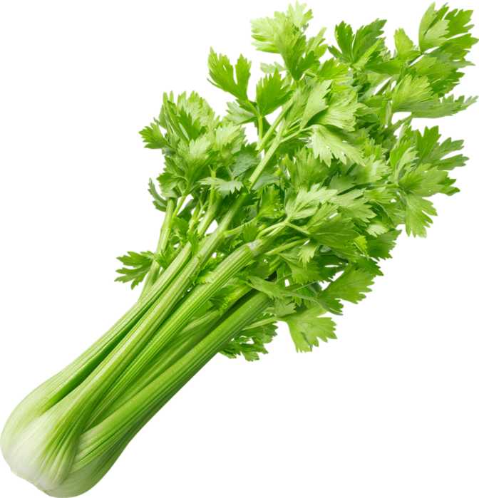 Celeri