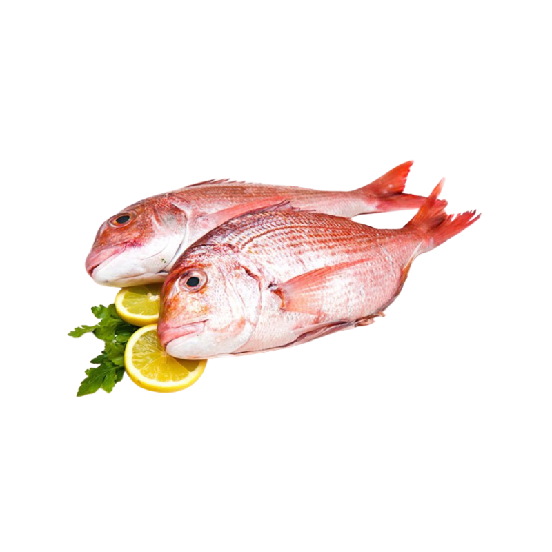 Dorade entière - surgelée
