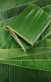 Feuilles de bananes (unité)