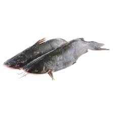 Poisson Chat entier