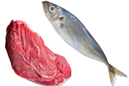 Viandes & Poissons