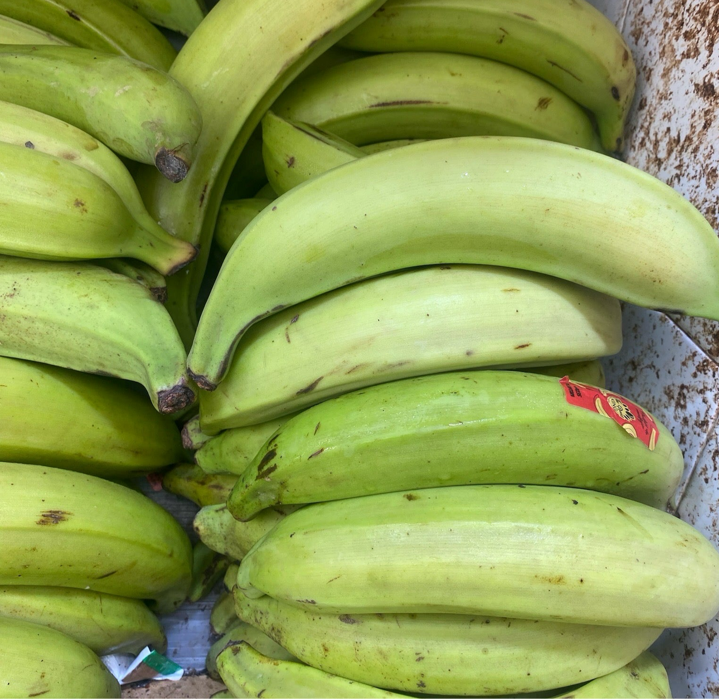 Bananes plantains vertes