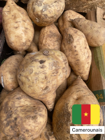 Patates douces blanches du cameroun (kg)