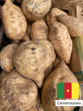 Patates douces blanches du cameroun