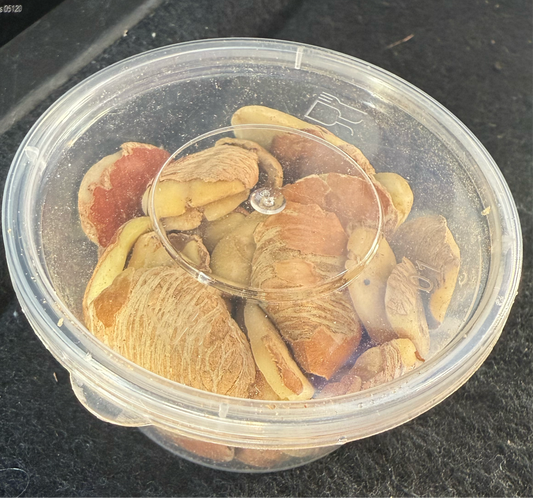 sioko grain