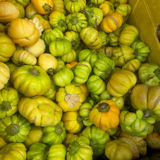 Aubergine africaine (diakkhatou)