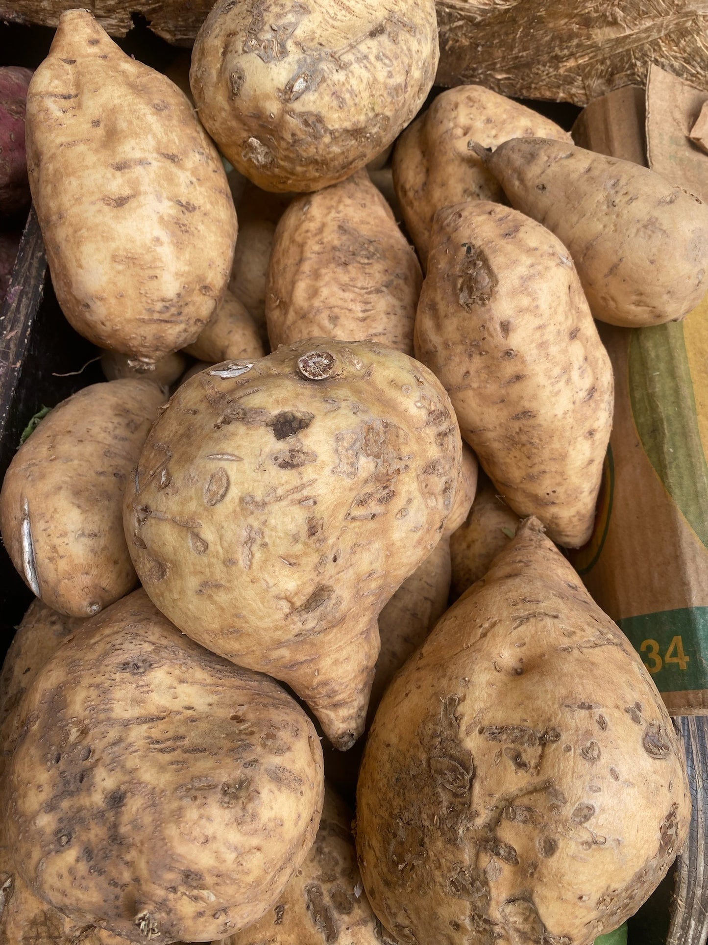 Patates douces blanches du cameroun