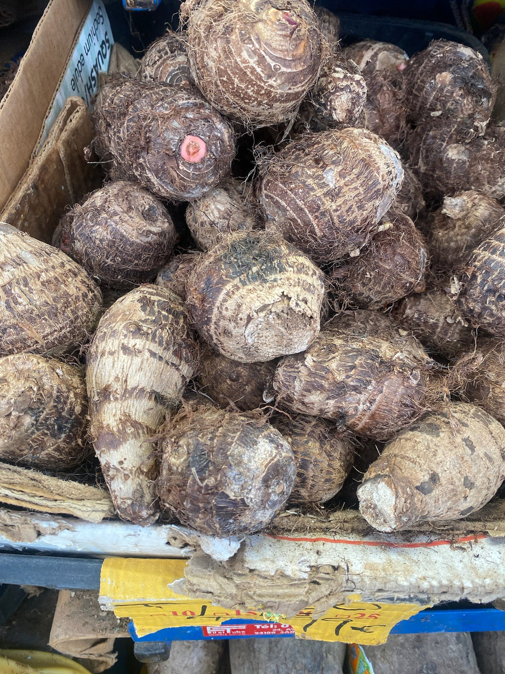 Macabo blanc (kg) – Grand Exotique
