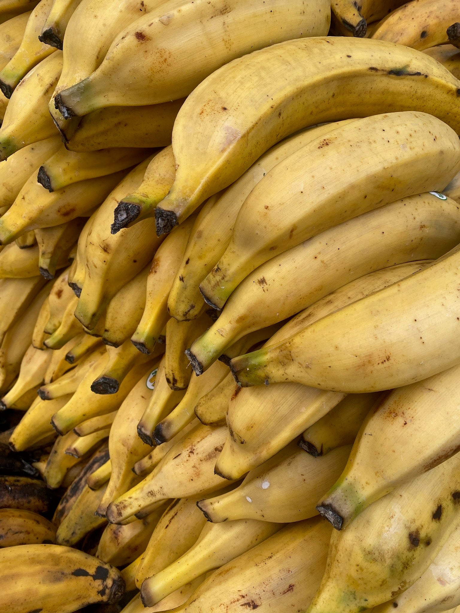 Bananes plantains jaunes