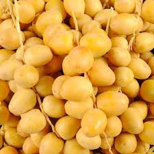 accueil2 – Grand Exotique