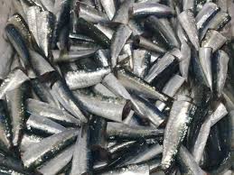 Yaeoye Sardine camerounais (kg)