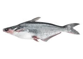 Poisson Malengwa / Malengua surgelé (4KG)